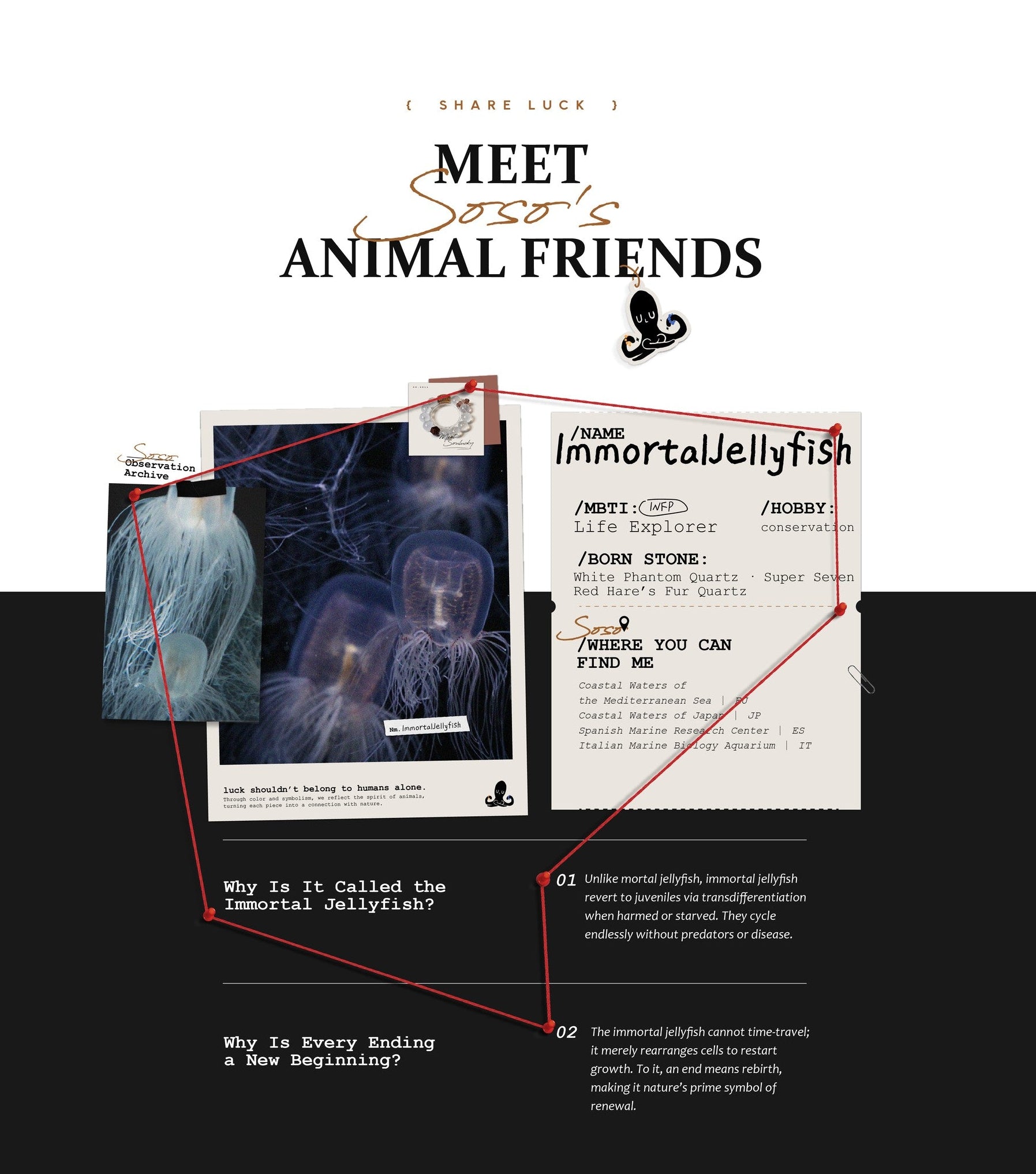Collage with text and images of jellyfish and a character named Sosee's Animal Friends.