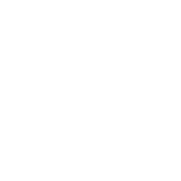 Logo Icon