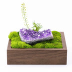 Amethyst Mist