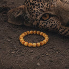 Handcrafted Amur Leopard Crystal Bracelet with 21 golden tiger eye cylinder beads on dirt