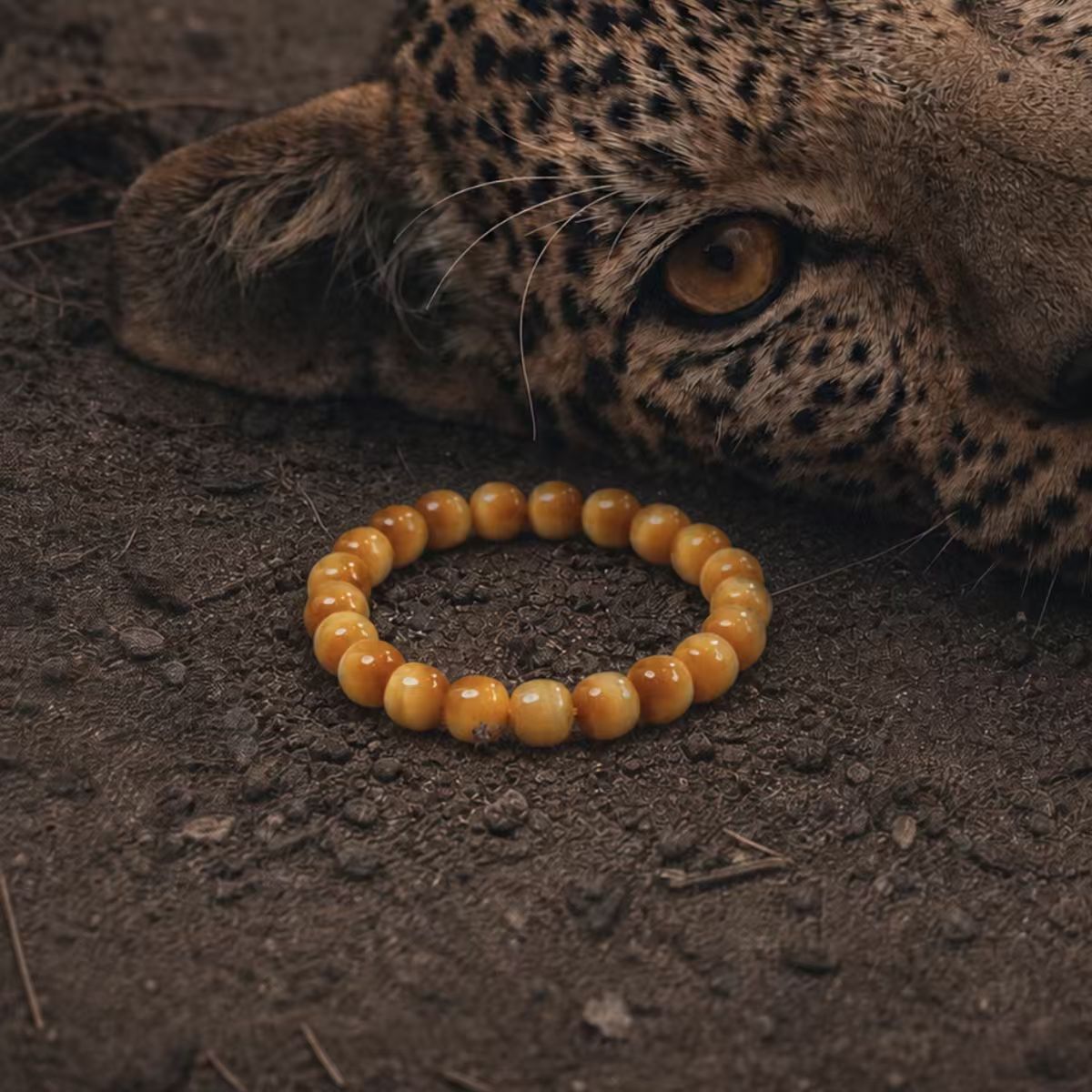 Handcrafted Amur Leopard Crystal Bracelet with 21 golden tiger eye cylinder beads on dirt