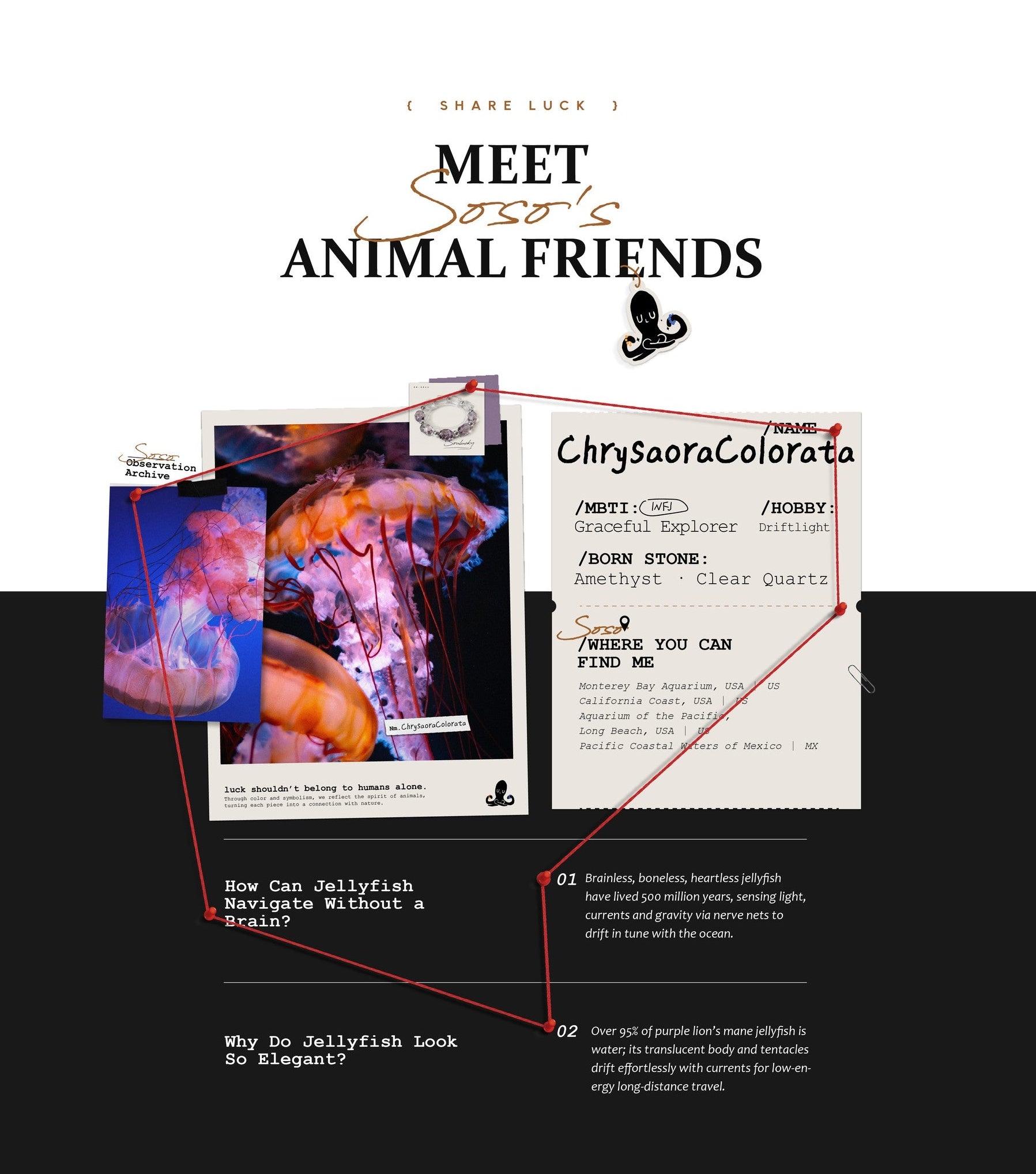Promotional graphic for 'Meet Soso's Animal Friends' featuring a jellyfish and text.