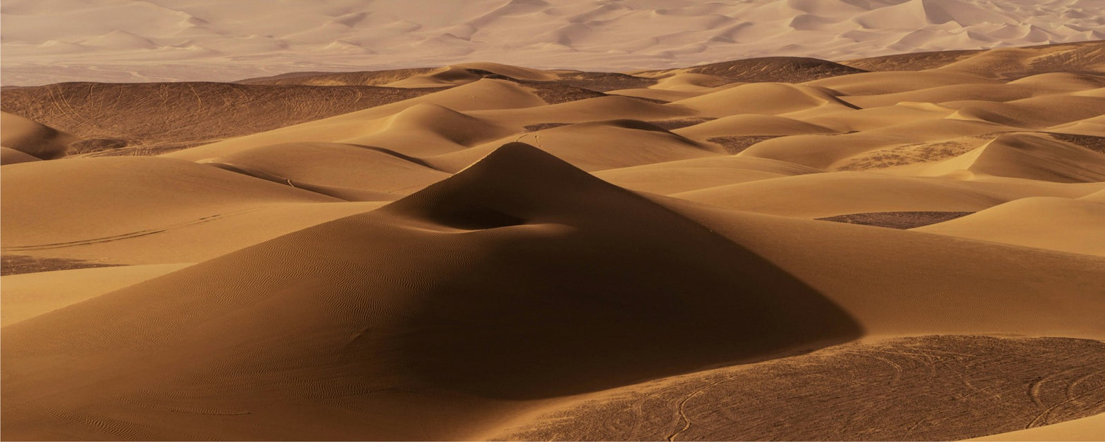 Dunhuang collection hero