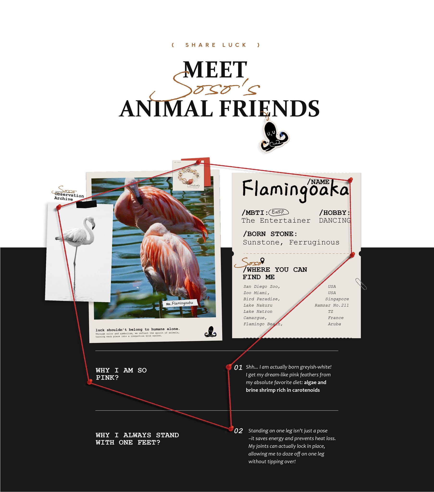Illustration of a flamingo with a character sheet labeled 'Flamingoka' on a black background.