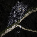 Handcrafted Owl Bracelet by Soulucky with textured grey silver obsidian gemstone beads on mossy branch