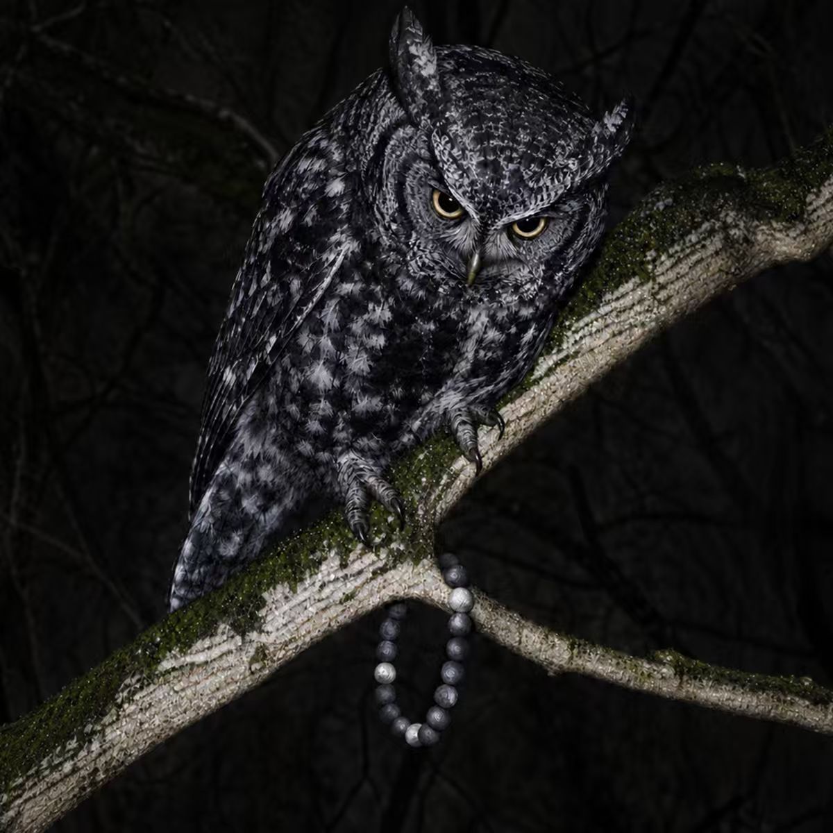 Handcrafted Owl Bracelet by Soulucky with textured grey silver obsidian gemstone beads on mossy branch