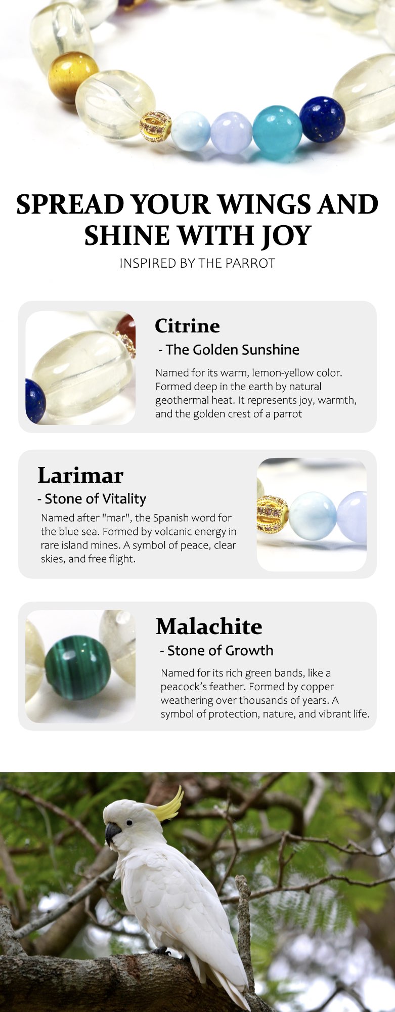 Bracelets with stones labeled Citrine, Larimar, and Malachite, inspired by a parrot, with text 'Spread your wings and shine with joy'.