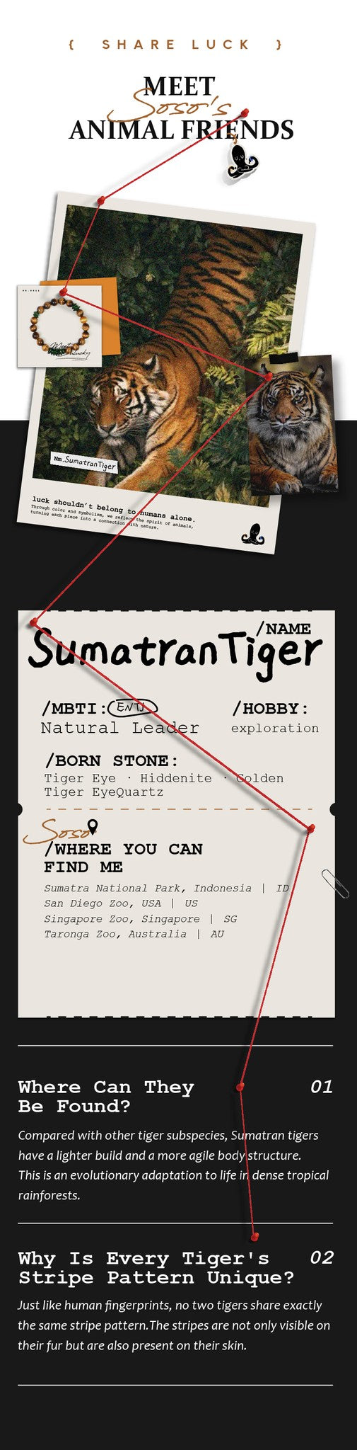 Product packaging for Sumatran Tiger with images and text on a white background