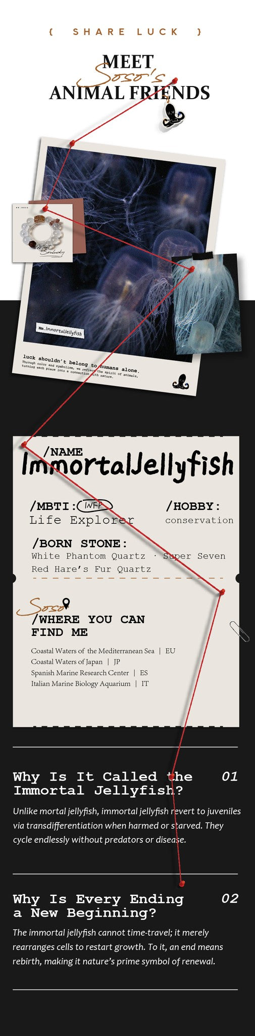 Promotional graphic for 'Immortal Jellyfish' with text and graphics on a white background